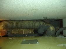 Dryer and Vent Before