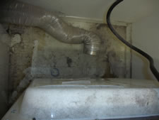 Dryer and Vent Before